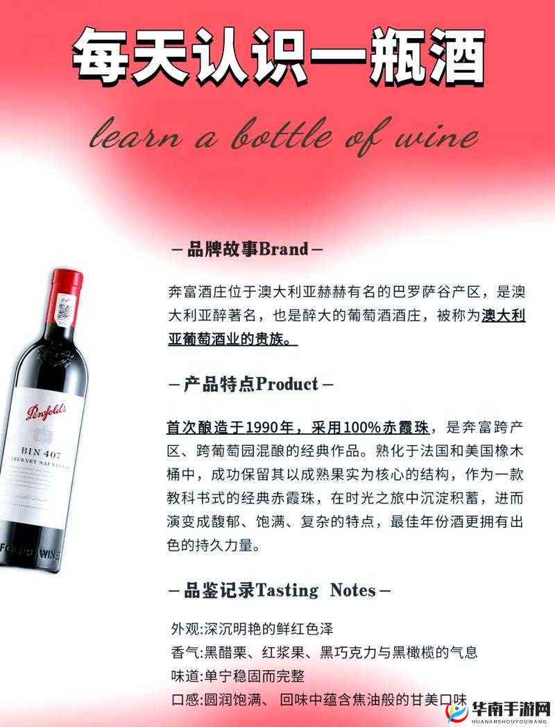 红酒瓶进出口述：探索红酒瓶在国际间的流通奥秘