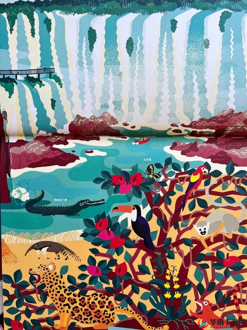 激色小 ：带你领略色彩斑斓的奇妙世界之旅