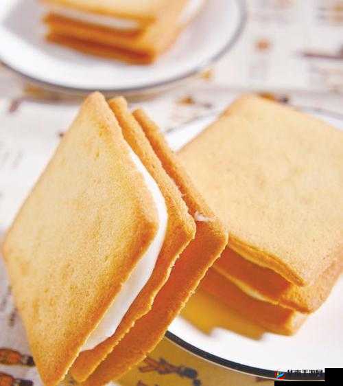 双胞胎一前一后夹心饼干的奇妙组合与趣味故事