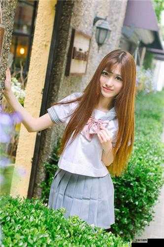 探索 yw193 龙物背后的神秘世界