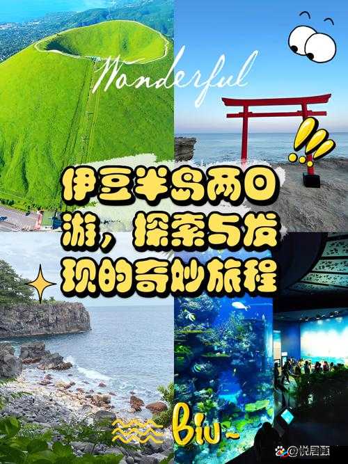 双手游走在一丛茂密：探索自然之美与神秘的奇妙旅程