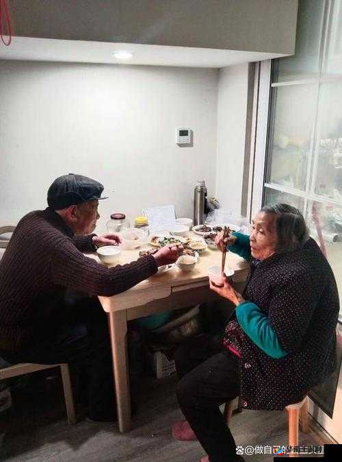 全部老头和老太：在岁月长河中坚守的智慧与温暖