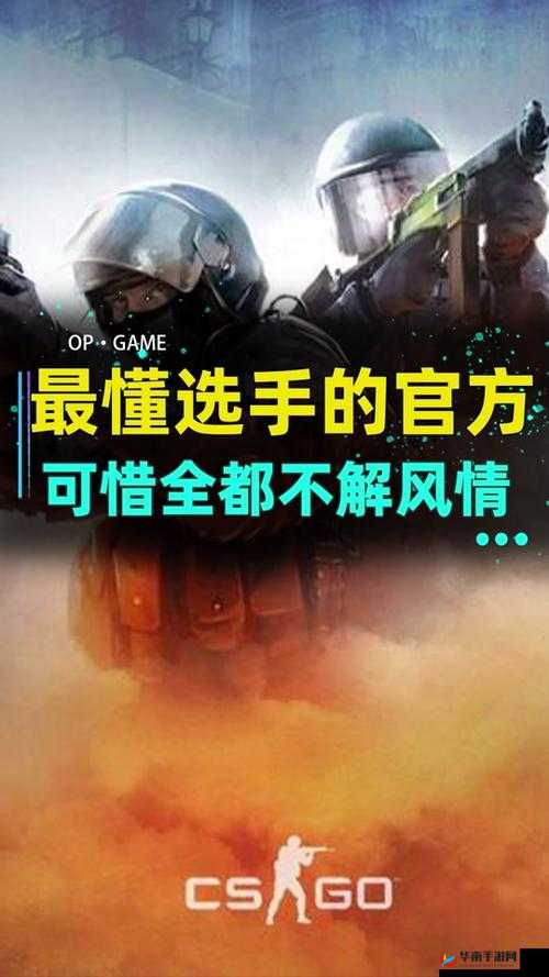 俄罗斯卖 csgo 的网站免费进入:探寻其背后的秘密与机遇