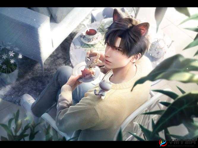 沈先生的花式婚后生活之甜蜜与温馨的日常点滴描绘