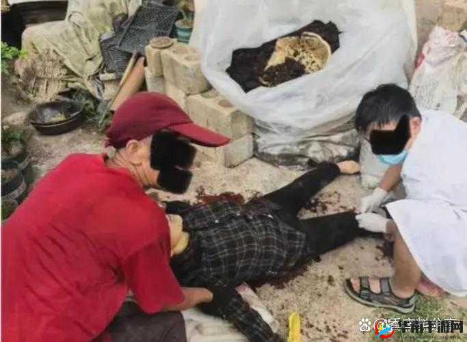 云南 18 岁小伙折磨 50 岁妇女：事件背后的真相与影响究竟如何