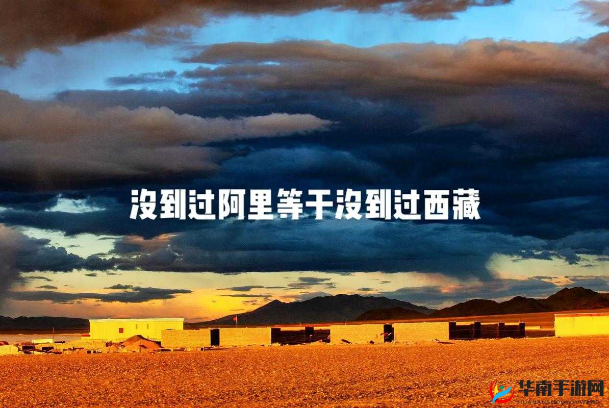 精彩无人区一码二码三码四码:探索其中的奥秘与独特魅力