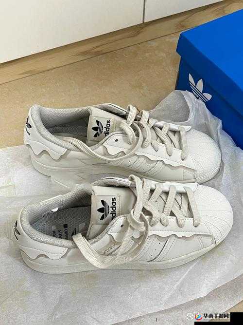 三叶草 gw2419 独特魅力闪耀时尚潮流