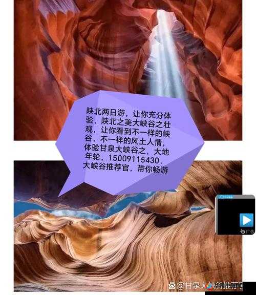 浏览器看 B 站：尽享丰富精彩视频内容的独特体验