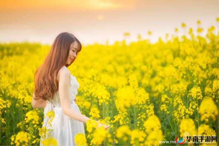 小霜的高中成长日记 9：记录青春岁月的美好与成长