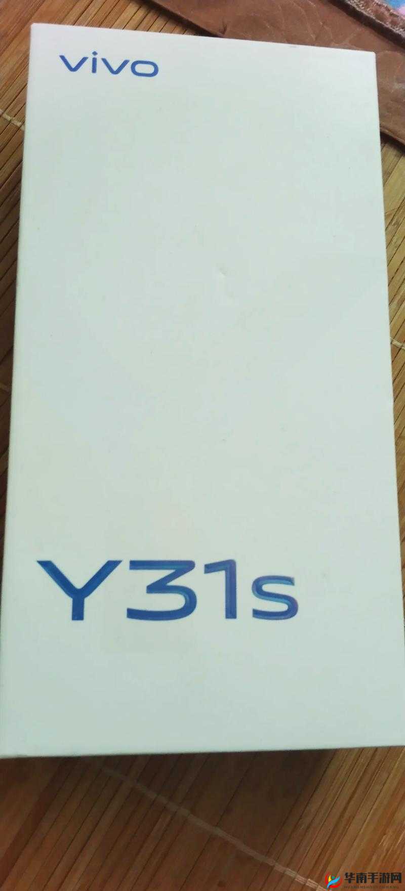 成色好的 Y31S 标准版下载：提供高效便捷的下载体验