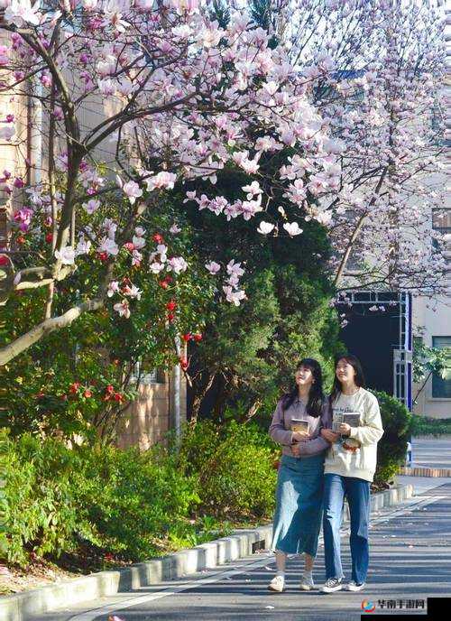 校园春色中的亚洲色图：独特的春日景致与别样风情