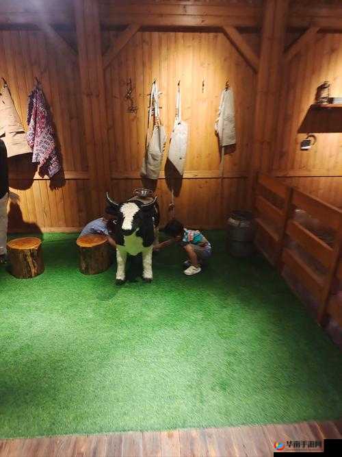 ：探索毛茸茸妇女体内汇编的奇妙世界