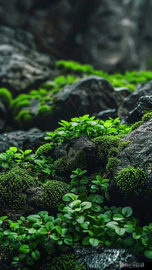 海角妈妈绿意盎然：探索绿色生活的温馨之旅