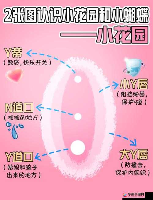 骚妇艳母色区：探索成人领域的秘密花园