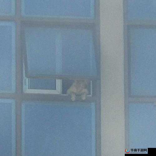 趴窗户上做给对面看真是让人匪夷所思啊