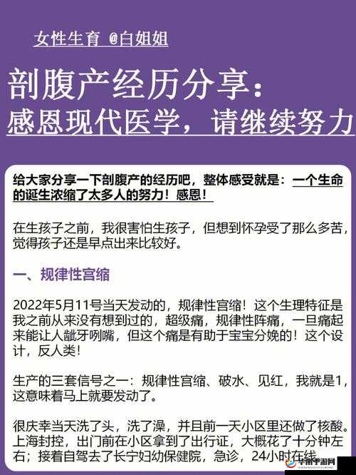 妇女 BBBBBWVBBB 与现代社会发展的关系探讨及影响分析