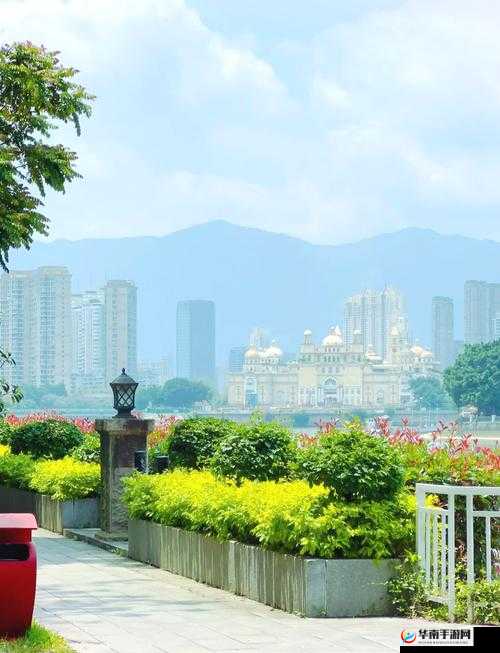 爱情岛：一个充满浪漫与邂逅的梦幻之地