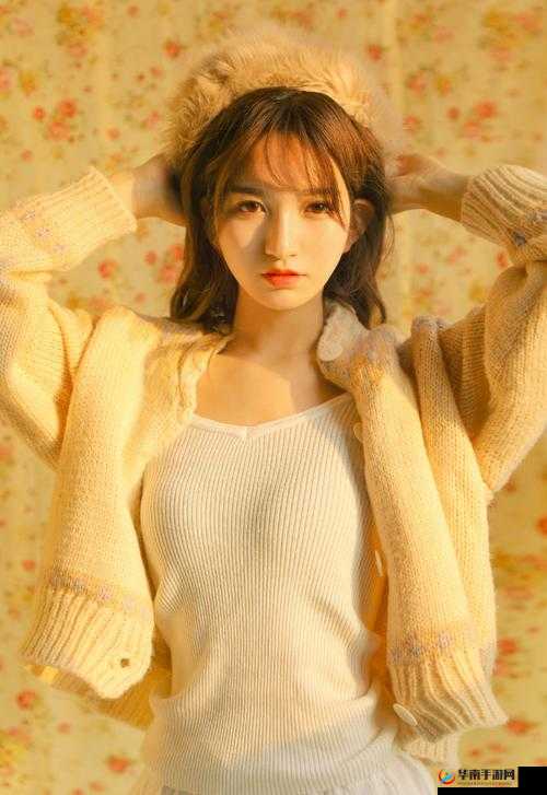 1024 手机看视频日韩版:畅享高清日韩影片