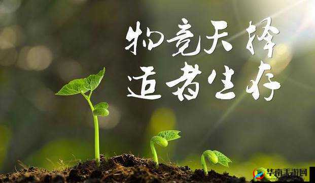 物竞天择适者生存,达尔文进化岛4月14日终极封测来袭