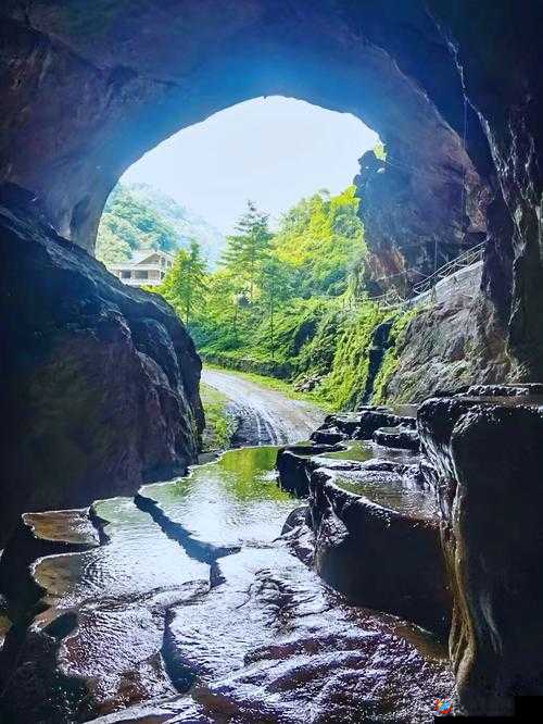 亚洲俩老头野外探险奇遇记：揭秘未知神秘之地