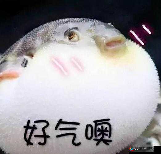 肚皮被顶的一鼓一鼓的真有趣让人忍俊不禁