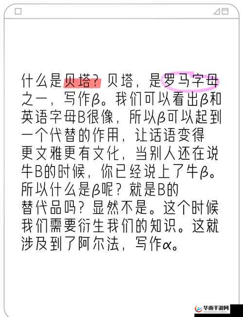 不一样的正反 B：探索正反 B 的奇妙世界