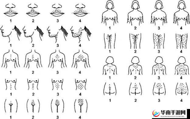 多毛陰戶 XXX：独特魅力的神秘之处