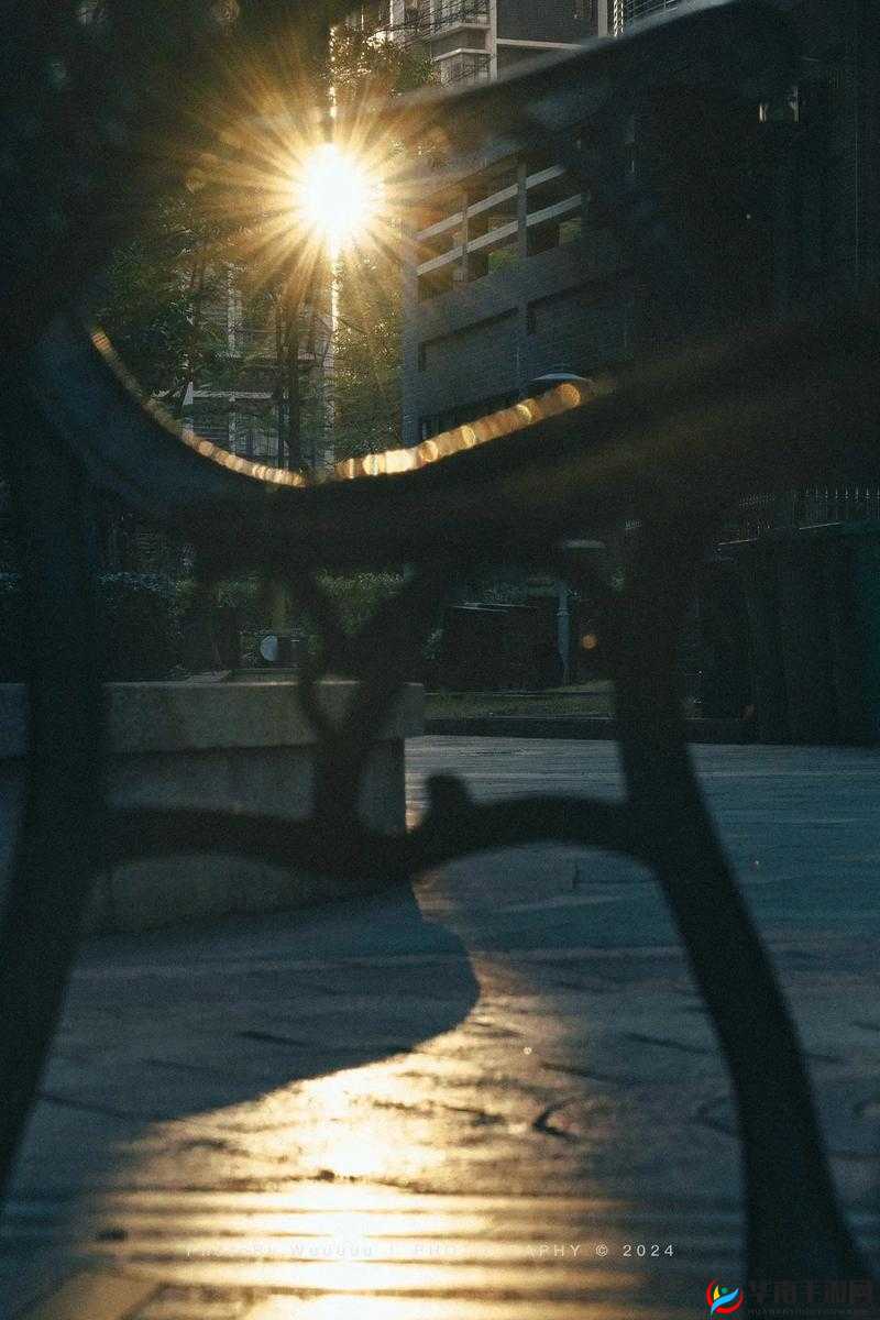 2024 年的三片果冻传媒：在光影中探索未知