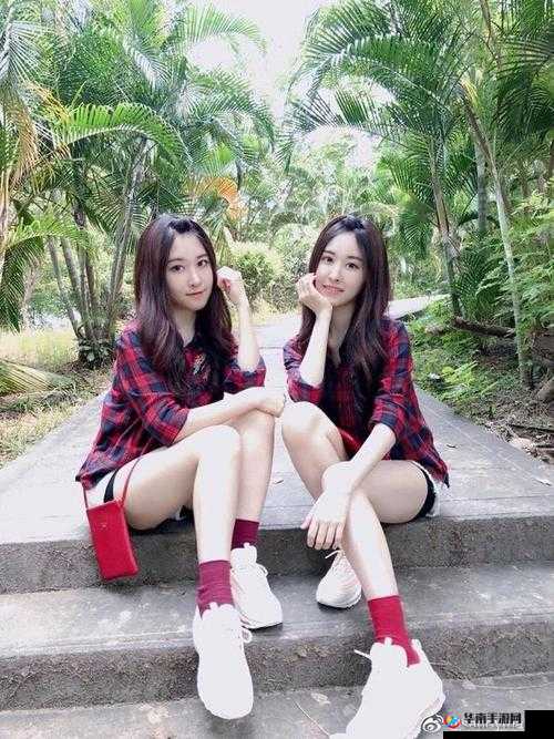 双胞胎姐妹齐上阵，观众评价大揭秘