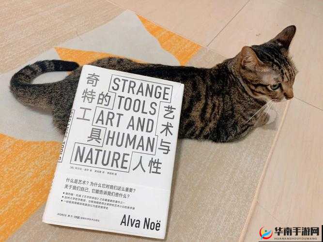 47 大但人文艺术：一场关于艺术与人性的深度探讨