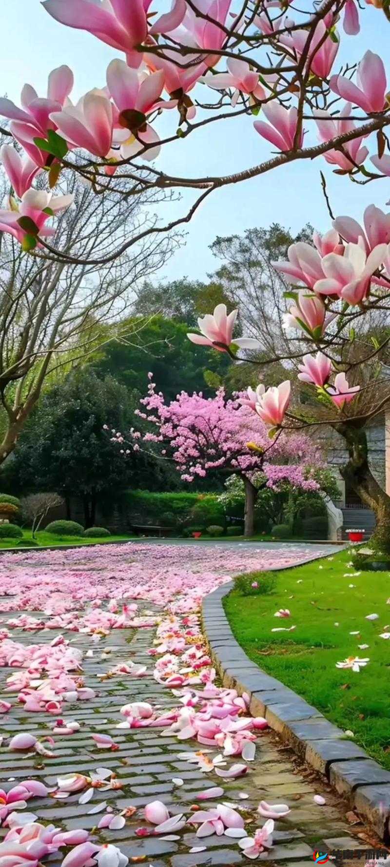 亭亭玉立人间四月天爱草：那一抹醉人的清新与美好