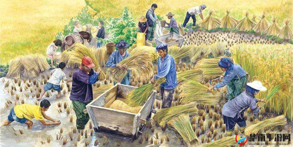 儿耕妈荒废的田：看儿子如何辛勤耕耘妈妈那片荒废的田地