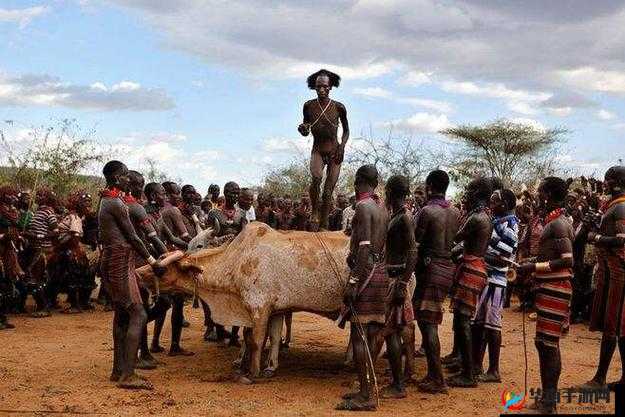 毛多妇女一区二区三区那些令人好奇的独特之处