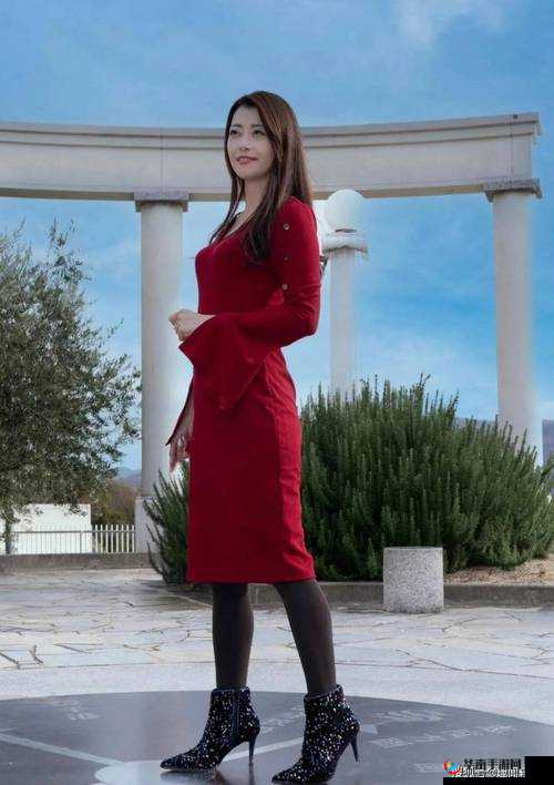 北条麻妃在线观看：日本知名女演员的魅力演绎