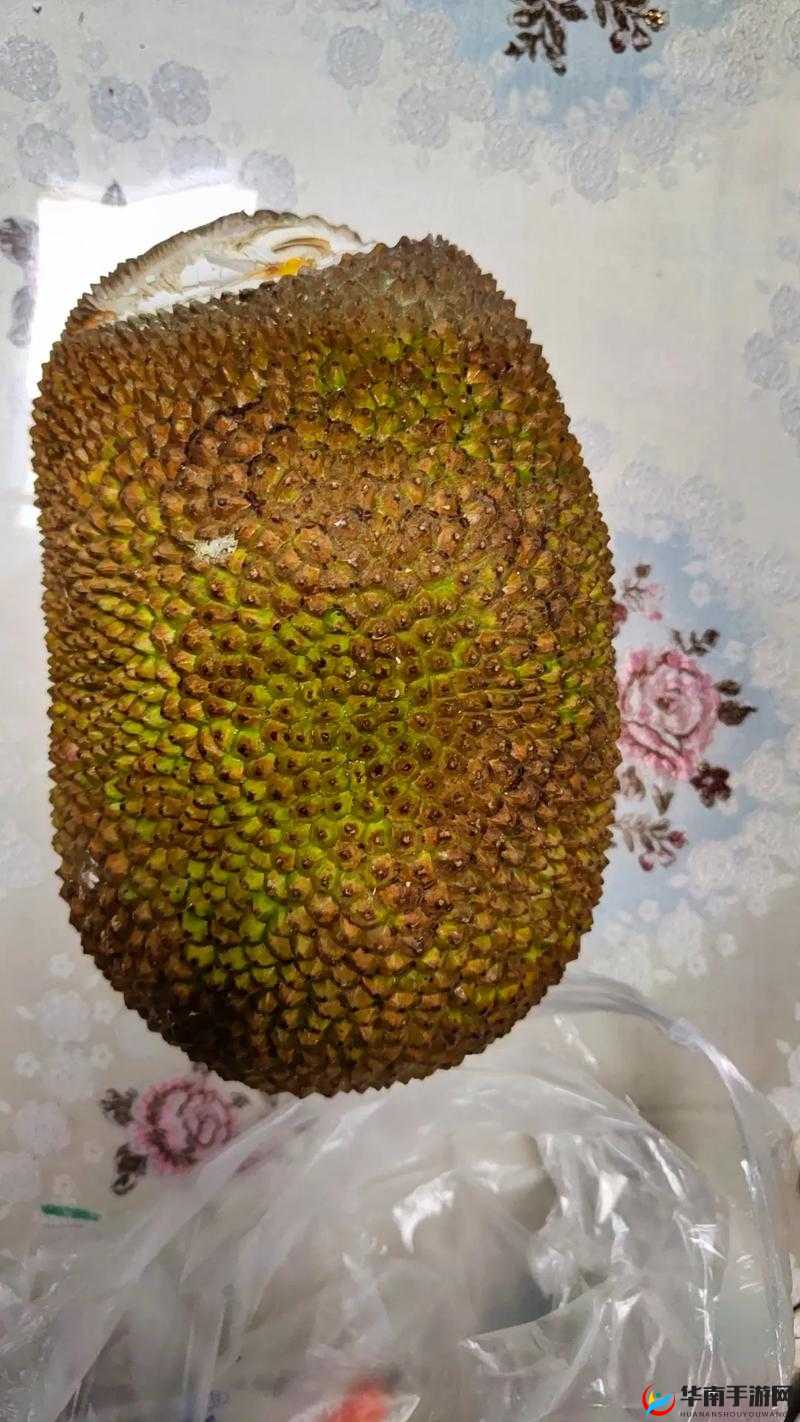 菠萝菠萝蜜在线视频观看播放：带你领略不一样的世界