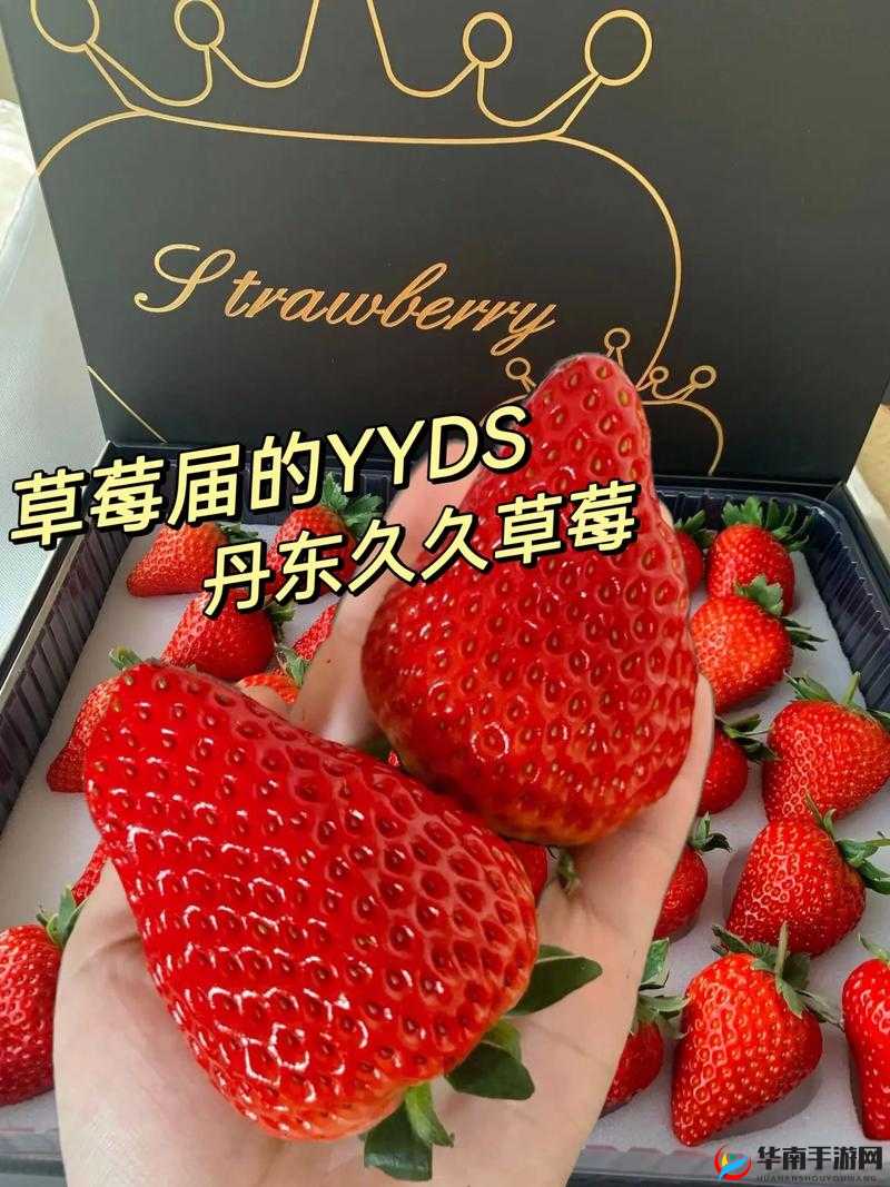 久久草莓还是九九草莓：探寻其独特魅力与奥秘