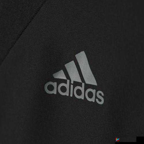 三叶草 gw9355:探索未知的神奇世界