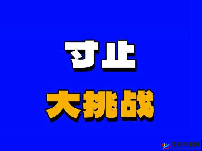 寸止挑战根着节奏：一种独特的运动方式