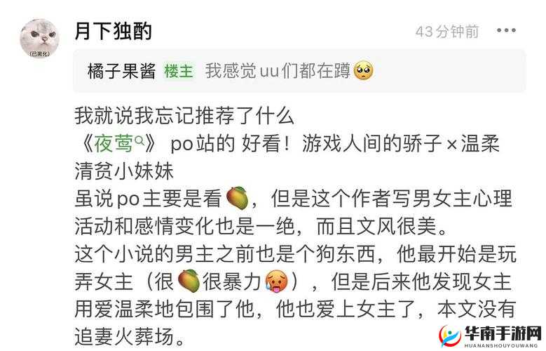 炖肉计-是今海棠软件被开放但使用需谨慎注意事项