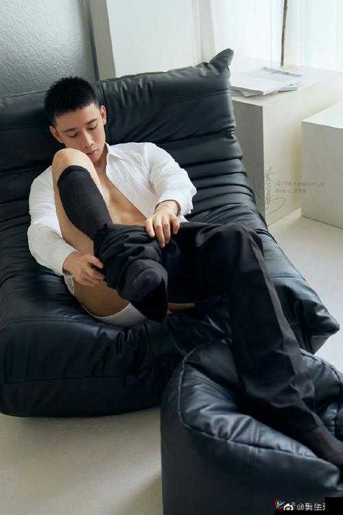 GAY 帅哥男男网站：优质同志交友平台，打造同志社交新体验