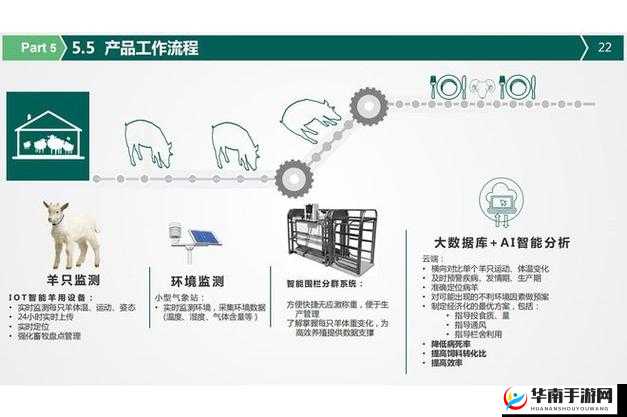 人马畜禽company猪巴西：探索独特养殖与产业发展模式