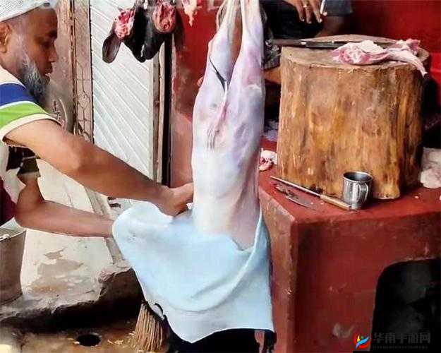 男生剥完皮到底什么样：深入探讨其真实模样与特征