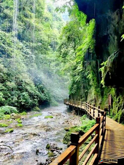 野外做受又硬又粗又大视幕:探索自然与欲望的激情之旅