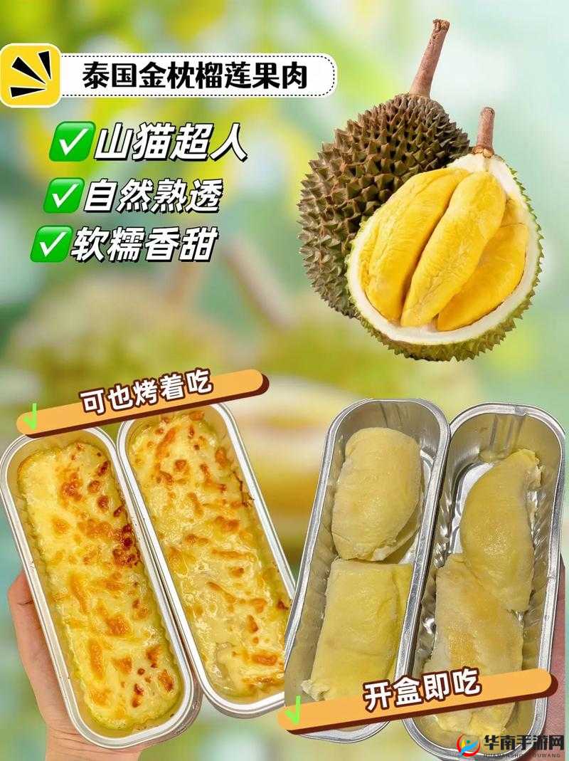 榴莲视频在线观看下载：畅享高清视频盛宴