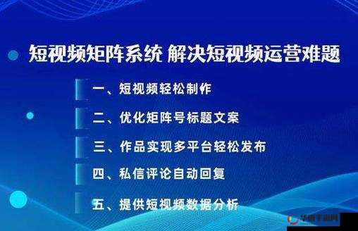 成品短视频 APP 下载网站:汇聚全球精彩,让你随时随地畅享视听盛宴