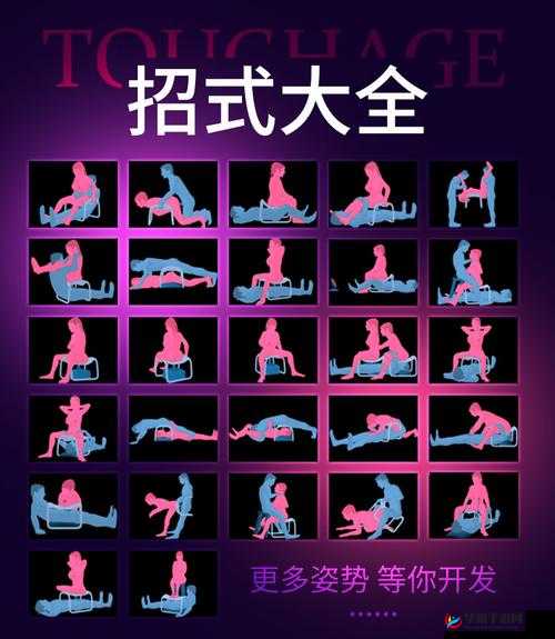 成人网络播放器：满足你私密娱乐需求的必备工具