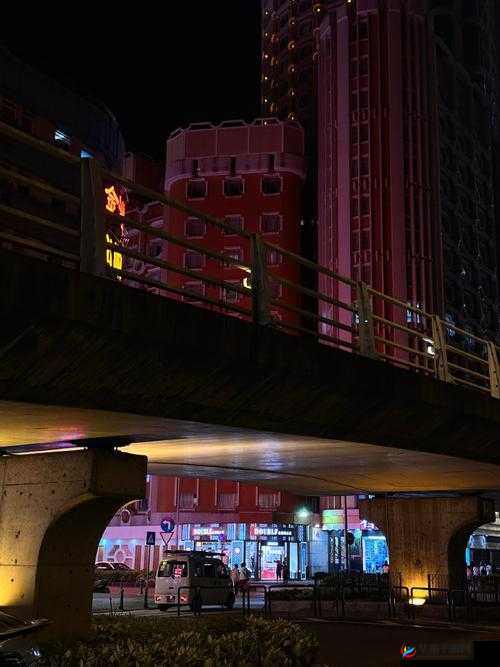 震惊澳门男子为何深夜出入场所？