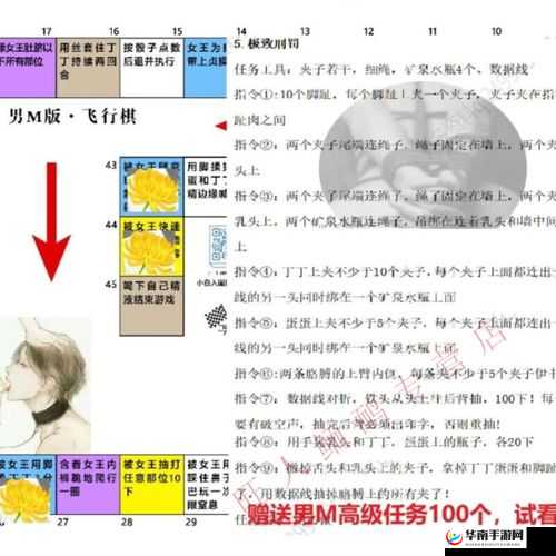 网调任务 100 条：详细全面的任务清单与具体要求解析