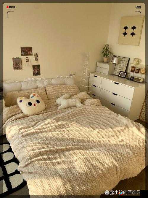 麻酥酥哟 5 号房间：一个充满神秘色彩和独特魅力的地方