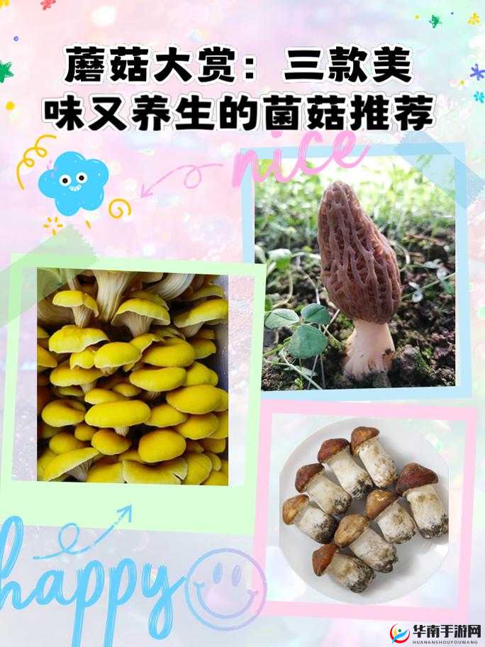 精产国蘑菇品一二三产品区:探索自然的奥秘,品味健康的美味
